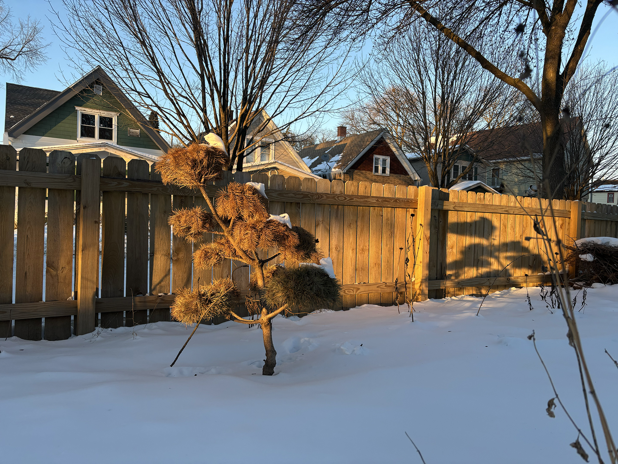 Fence Bros. Super wooden fences in Cedar or Pine for Milwaukee and Wisconsin